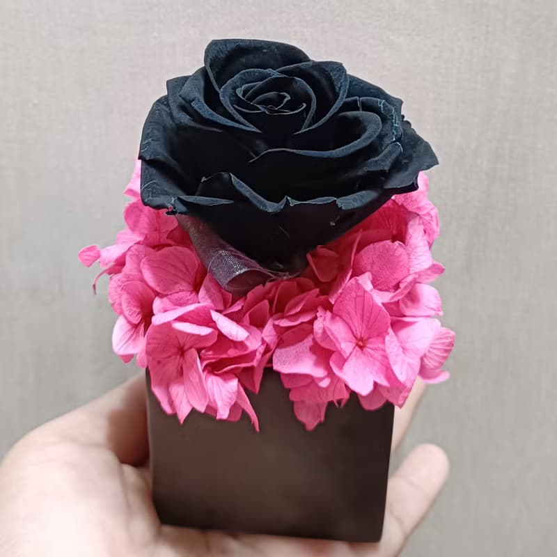 清新綠橙玻璃盅罩永生花結婚捧花永生乾燥花畢業謝師禮物生日畢業