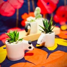 動物園系列_日本設計師合作_多肉植栽擴香花器