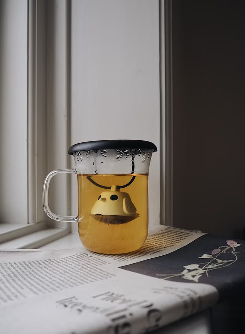 丹麥 QDO Birdie Swing Nest 濾茶杯 / 共5色
