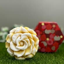 快速到貨 藝術香氛花皂(二) 手工皂 沐浴 清潔 首推小蒼蘭香氛