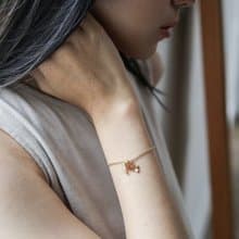 海洋生物 腦海工作室 手鍊 鯊魚 魔鬼魚 海龜 紙盒包裝