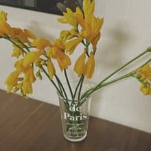 韓國mamanaube | de Paris杯子/咖啡杯/法式玻璃杯/交換禮物/花瓶