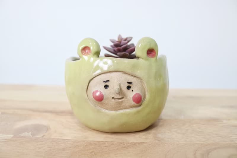 阿囡小熊盆栽