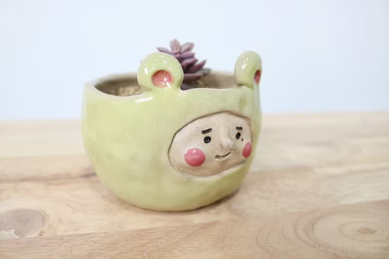 阿囡小熊盆栽