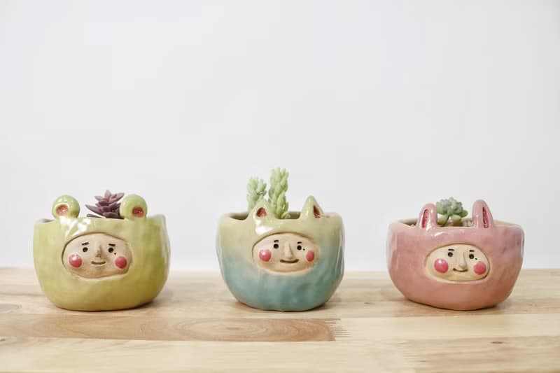 阿囡小熊盆栽