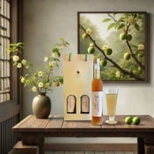 TNE100%青梅果萃酵素2入組 健康美味 伴手禮 養生飲品 送禮首選