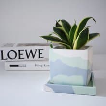 虎尾蘭•藍色珊瑚礁 / 水泥植栽 / 空氣清淨 / 送禮 / 招財 /