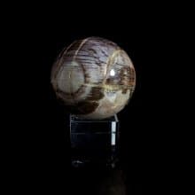 【木化石球】- 691