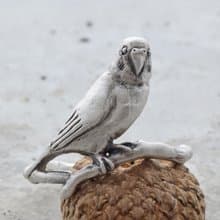 セキセイインコの指輪