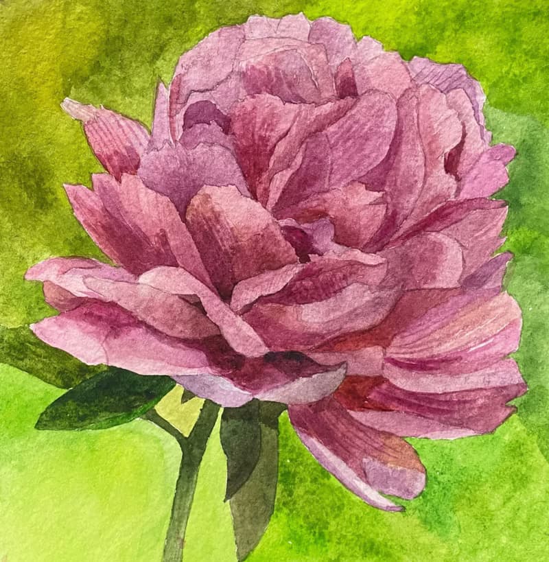 Thriving-Hand-painted hanging painting Peony Chinese painting Home decoration
