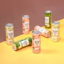 輕逸罐裝康普茶綜合口味14入/330ml