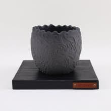聖獸-四象。朱雀/水泥盆/適合-塊根/多肉植物/仙人掌
