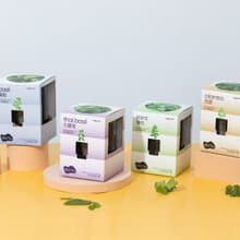 優惠組合x４-自家栽種廚房香草: Veggroom 水耕香草種植套裝