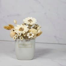 純粹 - 永生花  乾燥花  生日禮物 盆花 情人節禮物 送禮