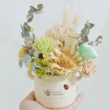 月亮上的兔子乾燥盆花 結婚捧花永生花畢業花束情人節玫瑰生日七