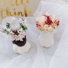 喵星人 乾燥花 永生花 乾燥花盆 盆栽 佈置 情人節 療癒 花禮