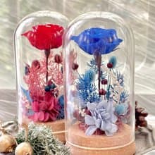 Rosemary小小花園玻璃罩-爵士與舞孃   永生花/情人節/生日/畢業