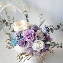 海藏設計│深海中的寶石。艾莉兒珊瑚永生花盆花 乾燥盆花