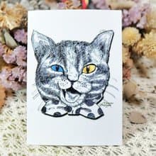 傲嬌貓─手繪日製動物療癒防水貼紙/小卡片/行李箱/筆電