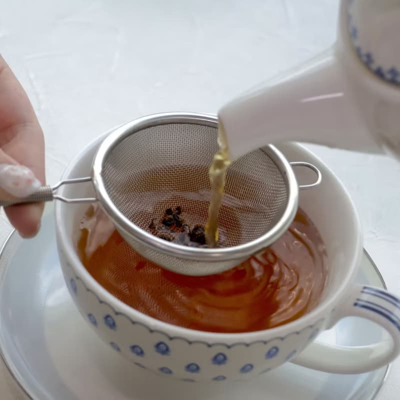 日本【SALUS 佐藤金屬】不鏽鋼單柄濾茶器