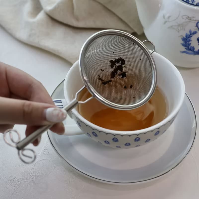 日本【SALUS 佐藤金屬】不鏽鋼單柄濾茶器