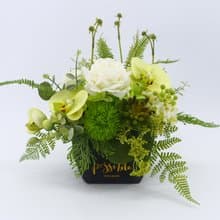 好好生活白玫瑰蝴蝶蘭香氛紙袋花禮/入厝禮/開幕/喬遷/送禮/植栽