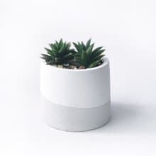 (現貨) 白灰漸層系列 | 黑舌 五重塔 圓形漸層水泥多肉植栽