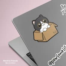 Meow in the box 防水貼紙 行李箱貼紙 電腦貼紙