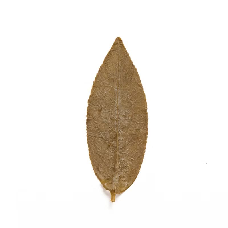 【得獎2星茶品】羽曦堂-龍磐守珠(熟香傳統台灣凍頂烏龍茶)