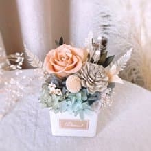 永生花盆花-莫蘭迪色調 l 日本玫瑰 乾燥盆花 乾燥花 開幕 喬遷