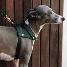 Classic Pet Harness, Soft genuine leather, Lightweight Small Dog Cat harness