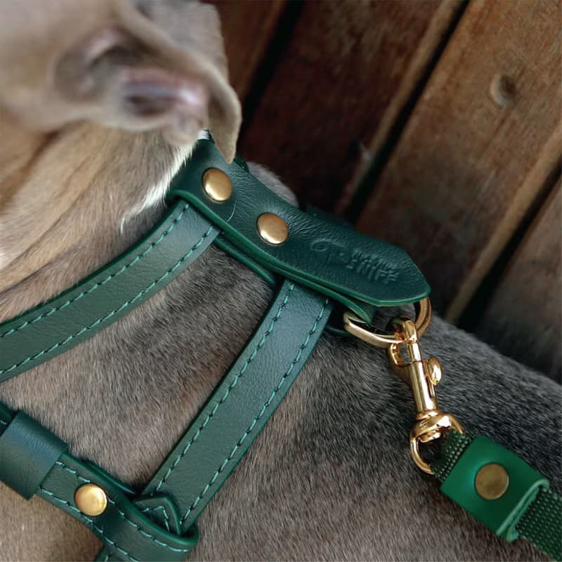 Classic Pet Harness, Soft genuine leather, Lightweight Small Dog Cat harness