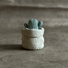 花盆/多肉盆栽/含假仙人掌/水泥/仿編織/擺件/禮物/植物