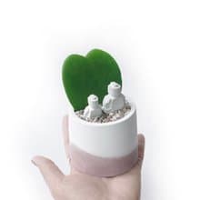 (預購) 莫蘭迪粉系列 | me & you 心葉球蘭  圓形水泥植栽