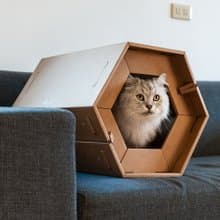 CARTON好厝 六角瓦楞紙貓屋 (含專用貓抓板)