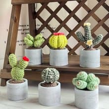 多肉泥擴香盆栽