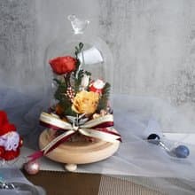 永生花鐘罩-聖誕報佳音