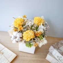 方盆中大型乾燥花盆花【青檸初夏】開幕/升遷/新居落成