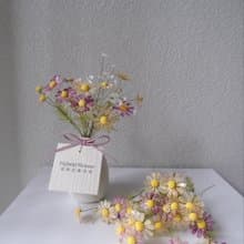 瓶子裡的春天_小雛菊