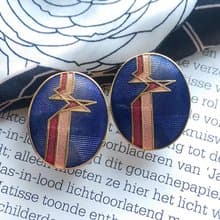 Vintage Jewelry  景泰藍 橢圓紫底 天堂鳥意象 夾式耳環