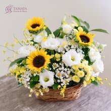 【鮮花禮】白皙陽光大花籃 日常花禮 升遷喬遷送花 生病慰問花束