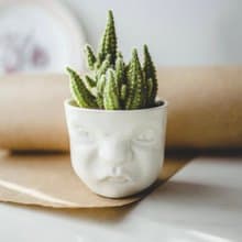 Grumpy planter 可愛表情陶瓷器皿