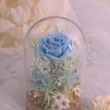 Rosemary小小花園玻璃罩-花園精靈 永生花/情人節/生日/畢業