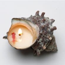 물품소 手工/開運金魚/天然貝殼香氛蠟燭生日禮物 新婚禮物