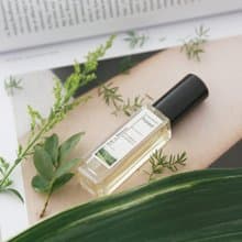 白日夢牧場精油日香水 冷杉 香蜂草 苦橙葉