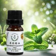 100%天然純精油 薄荷精油 單方精油 10ml 50ml 贈精美擴香石