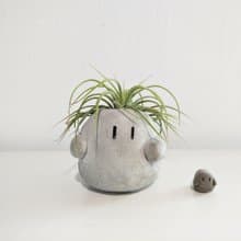 水泥小精靈-大胖【聖誕禮盒】