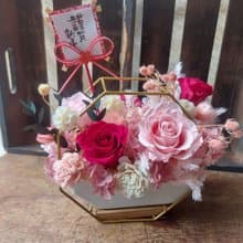 新年盆花 開幕誌慶 乾燥花盆 花禮 開幕慶賀 盆花 水泥盆 新年花