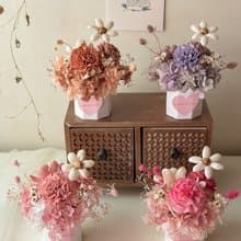 母親節花禮 康乃馨 擴香 小盆花