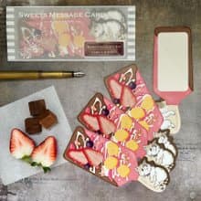 喫茶店のスイーツメッセージカード : ベリーチョコバー